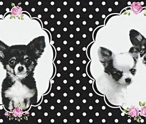 AS bordura - Little Stars  358501A