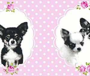 AS bordura - Little Stars  358502A