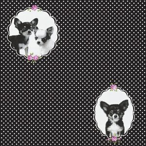 AS tapeta - Little Stars  358512A