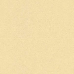 AS tapeta - Versace 4 370507A