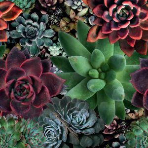 Alternative view of MARBURG tapeta - SMART ART 46801M