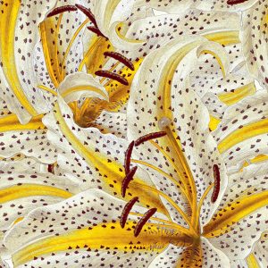 Alternative view of MARBURG tapeta - SMART ART 46815M