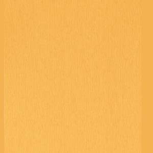 AS tapeta - Versace V  383845A