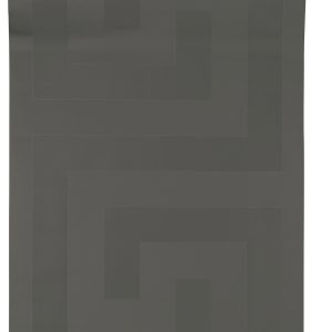 AS tapeta - Versace V  386091A