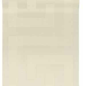 AS tapeta - Versace V  386094A