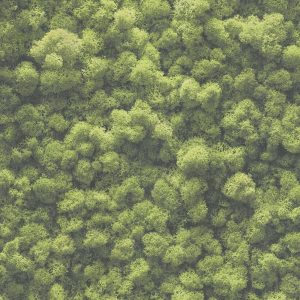 AS tapeta - PintWalls II 394051A