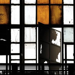 AS foto tapeta - Walls by Patel 2 - Bronx 2