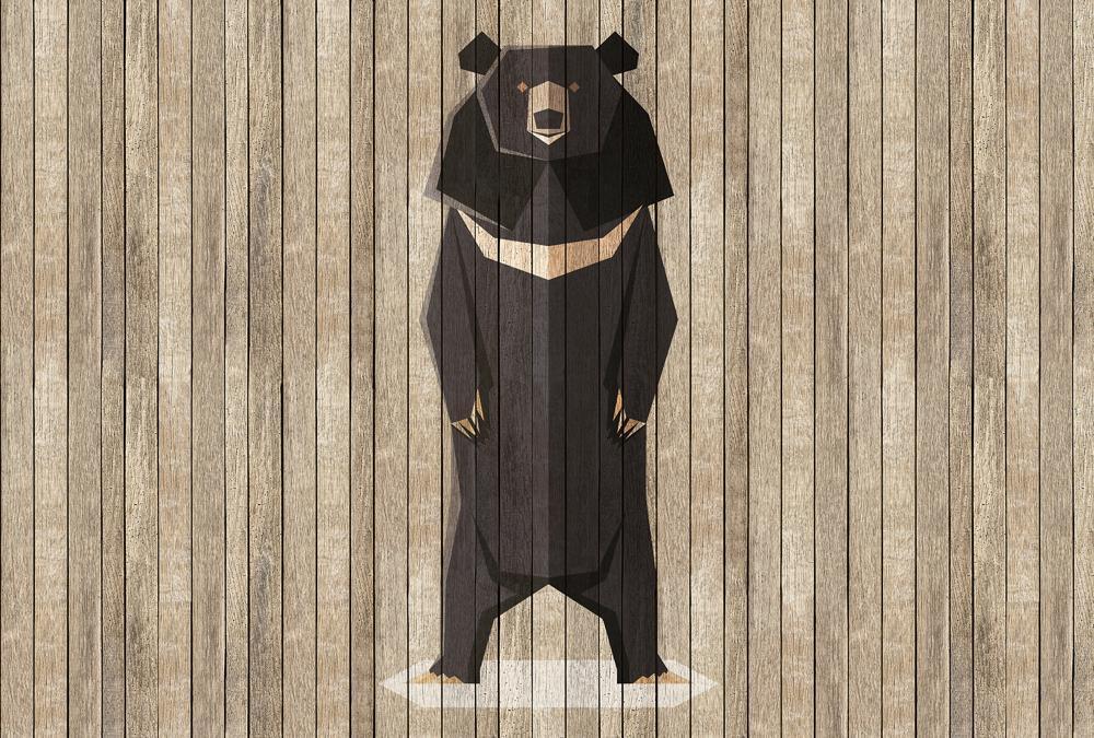 AS foto tapeta - Walls by Patel 2 - Born To Be Wild 1