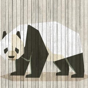 AS foto tapeta - Walls by Patel 2 - Born To Be Wild 2