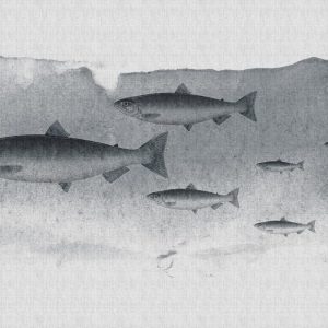 AS foto tapeta - Walls by Patel 2 - Into The Blue 3