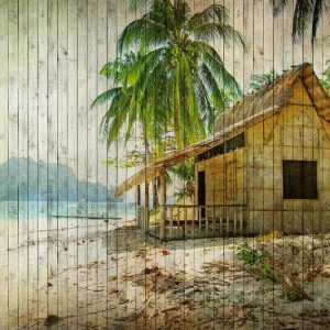AS foto tapeta - Walls by Patel 2 - Tahiti 1