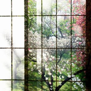 AS foto tapeta - Walls by Patel 2 - Orchard 2