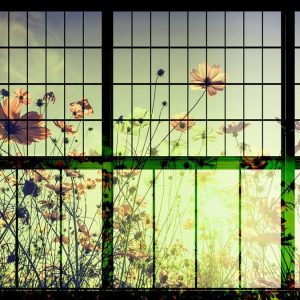 AS foto tapeta - Walls by Patel 2 - Meadow 2
