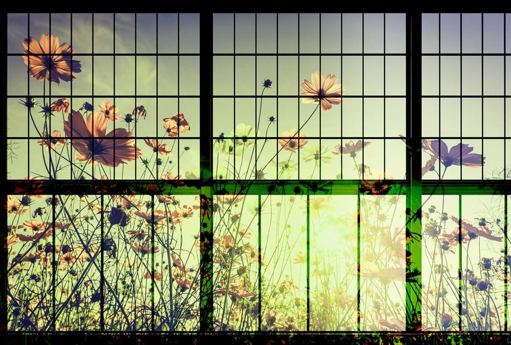 AS foto tapeta - Walls by Patel 2 - Meadow 2