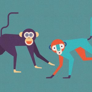 AS foto tapeta - Walls by Patel 2 - Monkey Business 1