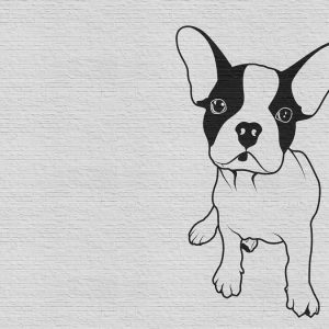 AS foto tapeta - Walls by Patel 2 - Tattoo You 2