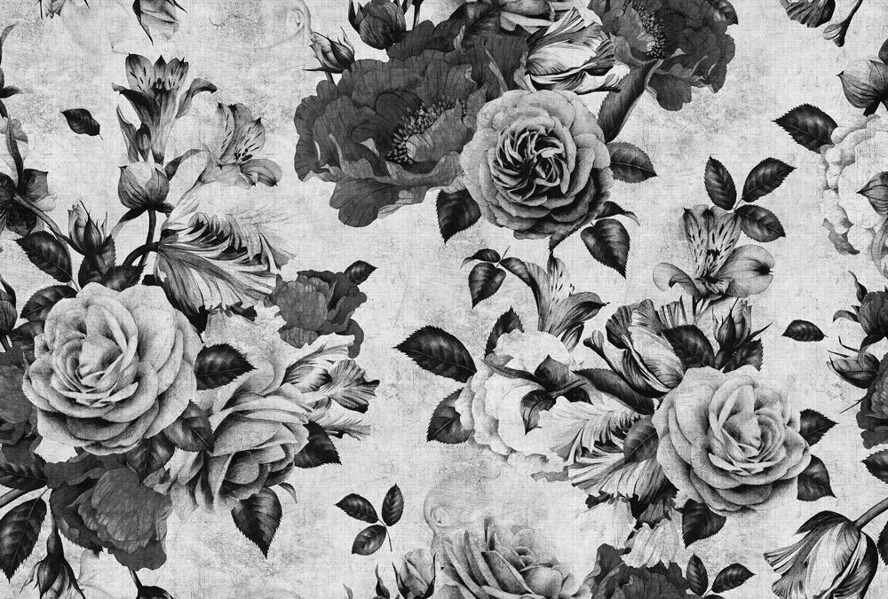 AS foto tapeta - Walls by Patel 2 - Spanish Rose 1