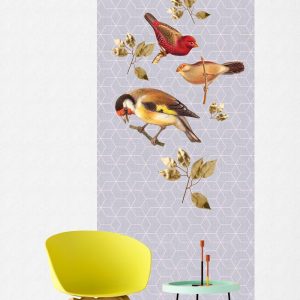 Alternative view of AS foto tapeta - Walls by Patel 2 - Brilliant Birds Panel