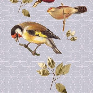 AS foto tapeta - Walls by Patel 2 - Brilliant Birds Panel