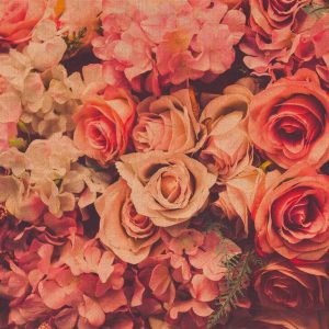 Foto tapeta - Flower Wall