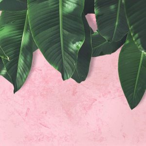 Foto tapeta - Leaves Wall 1