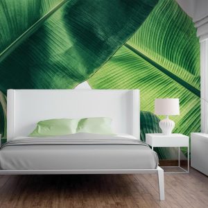 Alternative view of Foto tapeta - Broken Leaf 1