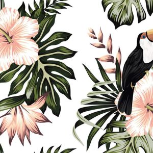 Foto tapeta - Toucan 1