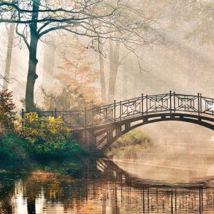 Foto tapeta - Park Bridge 1