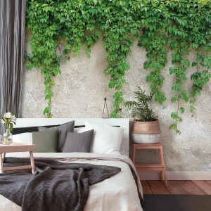 Alternative view of Foto tapeta - Climbing Leaves