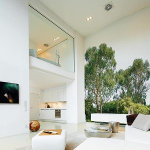 Alternative view of Foto tapeta - Treetop