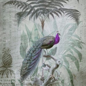 Livingwalls fototapeta - PeacockJungle1 DD119709