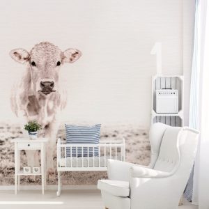 Alternative view of Livingwalls fototapeta - HighlandCattl3 DD119833