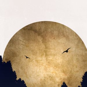 Livingwalls fototapeta - TwoBirds DD119893