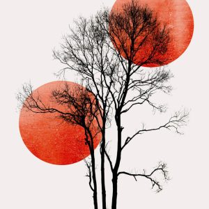 Livingwalls fototapeta - SunAndMoon DD119901