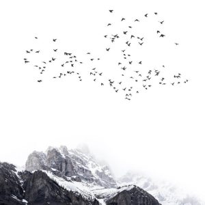 Livingwalls fototapeta - TheMountains DD119909