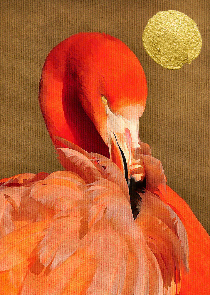 Livingwalls fototapeta - FlamingoInSun DD119957