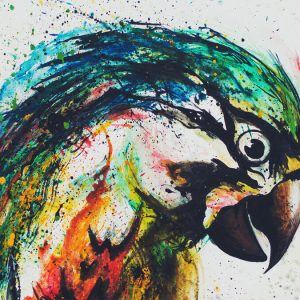 Livingwalls fototapeta - Parrot DD120041