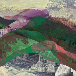 AS foto tapeta - Walls by Patel 3 - Hidden Valley1