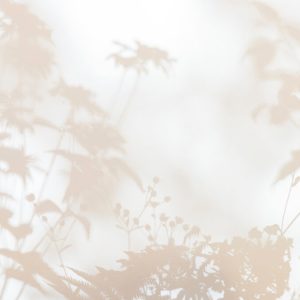 AS foto tapeta - Walls by Patel 3 - Shadow Room 1