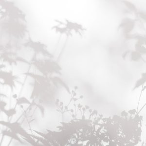 AS foto tapeta - Walls by Patel 3 - Shadow Room 2