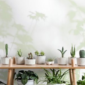 Alternative view of AS foto tapeta - Walls by Patel 3 - Shadow Room 3