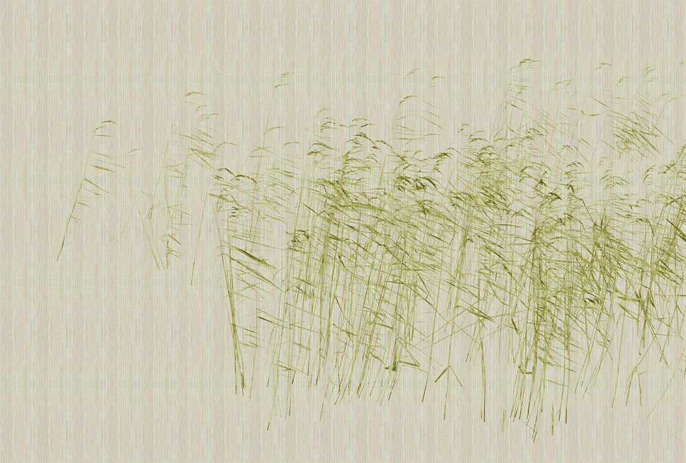 AS foto tapeta - Walls by Patel 3 - At The Pond 1