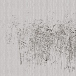 AS foto tapeta - Walls by Patel 3 - At The Pond 2