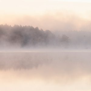 AS foto tapeta - Walls by Patel 3 - Avalon 2