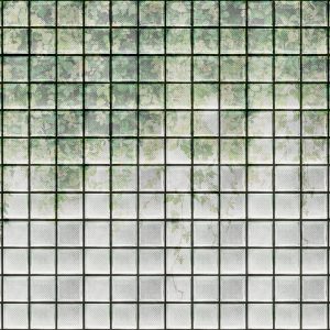 AS foto tapeta - Walls by Patel 3 - Greenhouse 2