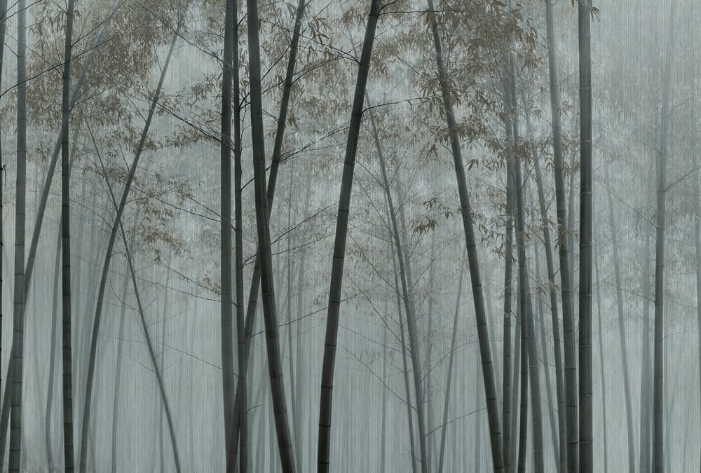 AS foto tapeta - Walls by Patel 3 - In The Bamboo1