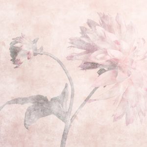 AS foto tapeta - Walls by Patel 3 - Morning Room 2