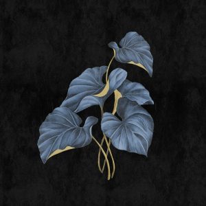 AS foto tapeta - Walls by Patel 3 - Fiji 1