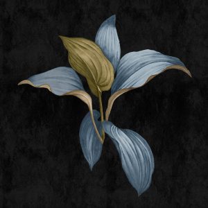 AS foto tapeta - Walls by Patel 3 - Fiji 3