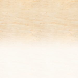 AS foto tapeta - Walls by Patel 3 - Workshop 3